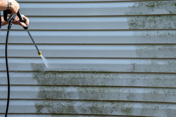 Best Storm Damage Siding Repair  in Terra Alta, WV